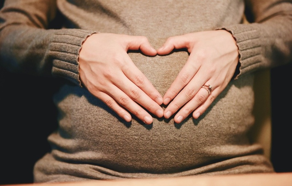 Menu Nutrisi Optimal Untuk Tumbuh Kembang Bayi Dalam Kandungan Ibu Jagoan